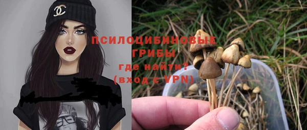 стафф Абаза