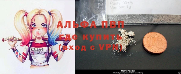 прущие грибы Магас