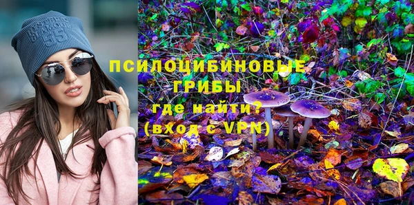 таблы Алексин
