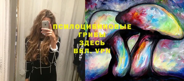 гидропоника Абдулино