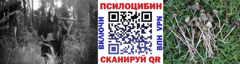 Псилоцибиновые грибы мухоморы  дарнет шоп  Ессентукская 
